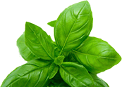 banner ingredient