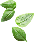 banner ingredient